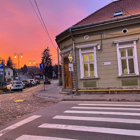 Guest House Hena Сфынту-Георге Экстерьер фото