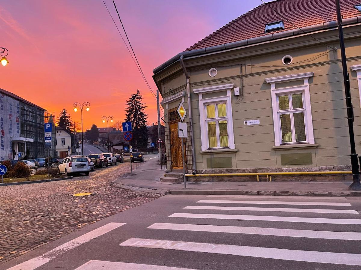 Guest House Hena Сфынту-Георге Экстерьер фото